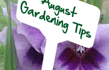 August Gardening Tips